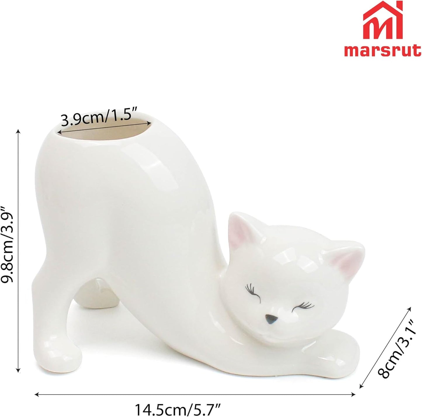 Maceta gato florero cerámica suculenta forma trasero