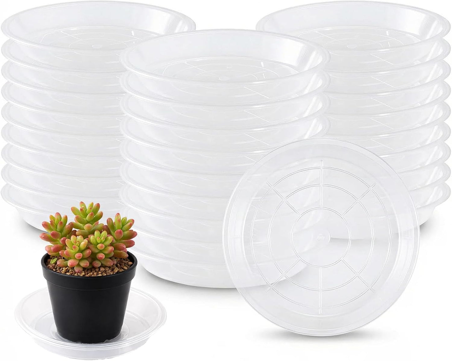 50 Platillos Transparentes 4pulg para Macetas de Flores