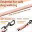 Correa perro 5ft resistente 440lb antideslizante hebilla 360