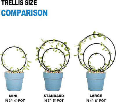 Juego 3 soportes redondos para plantas trepadoras metal resistente