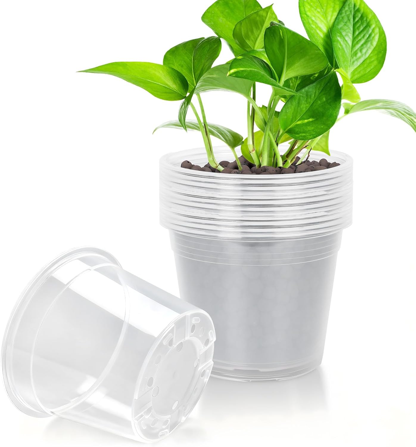 Macetas transparentes 7pulg drenaje set 15 plástico para plantas