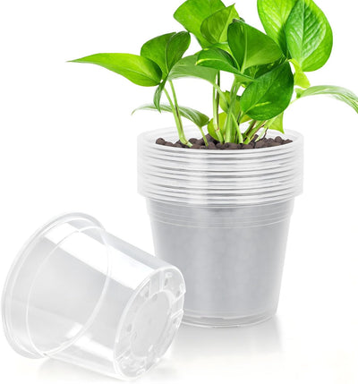 Macetas transparentes 7pulg drenaje set 15 plástico para plantas