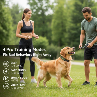 Collar entrenamiento perro 4500ft 0-150lbs 4 modos recargable verde