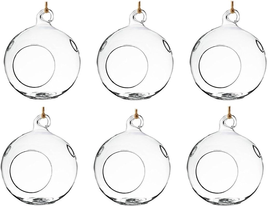 6 Globos Cristal Colgantes para Terrarios y Jardín