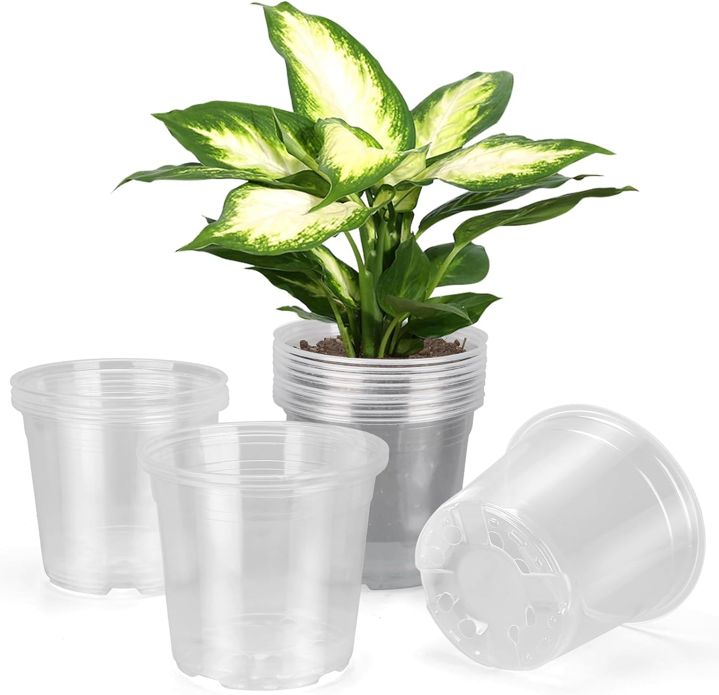 Macetas plástico transparente 6pulg drenaje set 20 para plantas