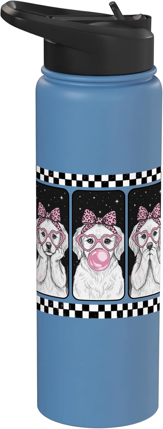 Botella agua acero inox aislada estilo retro bubblegum