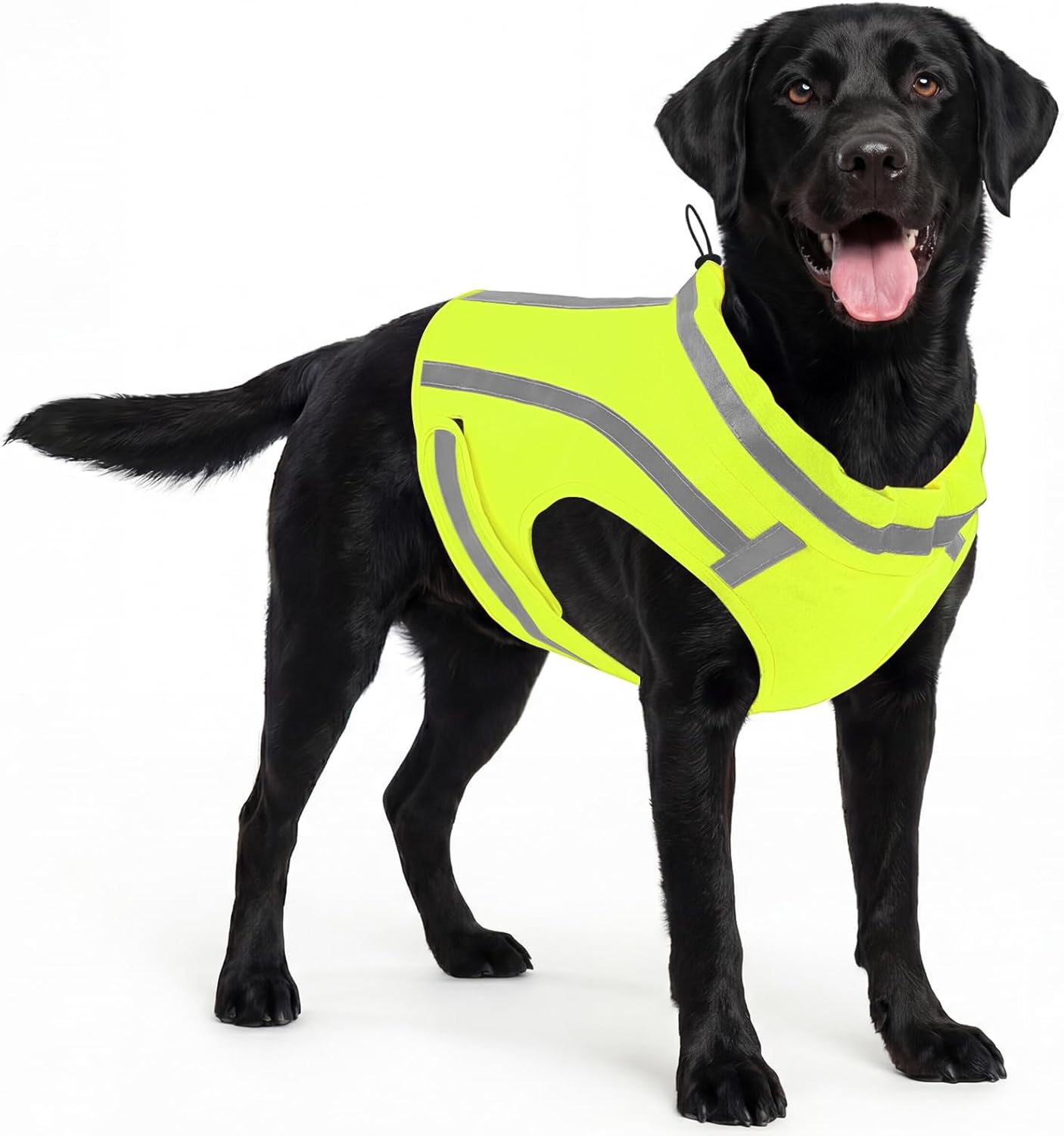 Chaleco reflectante perro ajustable alta visibilidad verde talla L