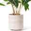 Maceta Cerámica 5pulg para Plantas Interior Diseño Único