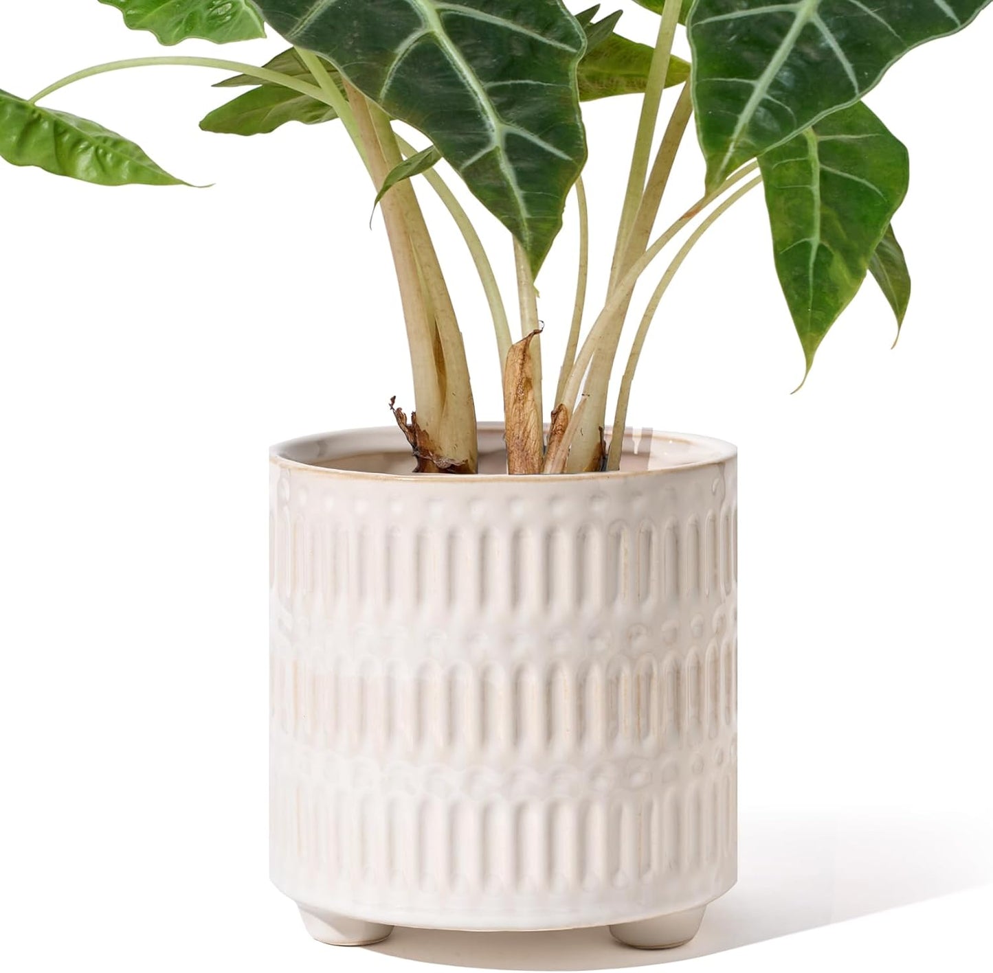 Maceta Cerámica 5pulg para Plantas Interior Diseño Único