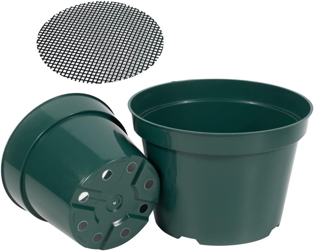 Macetas vivero 20P Verde para plantas crecimiento robusto