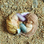 Jardín hadas miniatura terrario Little Mermaid