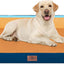 Cama ortopédica perro XL 42x30pulg impermeable con funda lavable