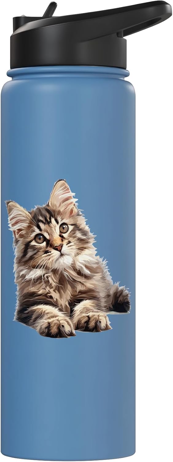 Bebida para gatos Maine Coon de acero inoxidable aislada