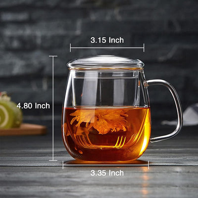 Vaso térmico vidrio borosilicato con infusor 520ml