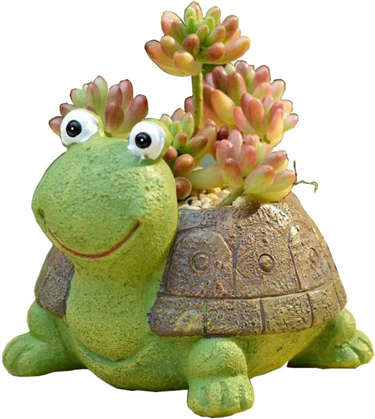 Maceta suculenta tortuga verde decoración hogar oficina
