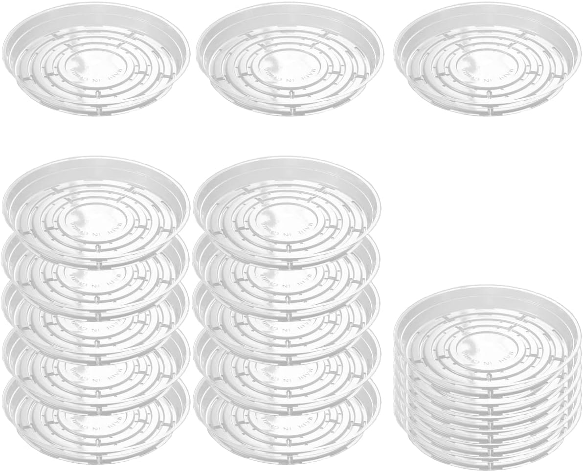 5 Pzas Platillos Transparentes 10pulg Bandeja Macetas