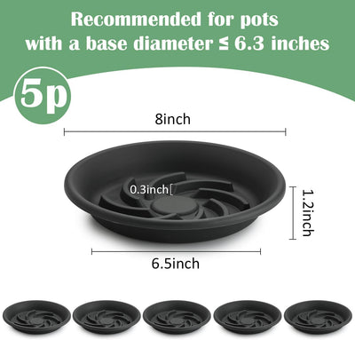 5 Pzas Elevadores Plantas 8pulg Bandejas Goteo Grises