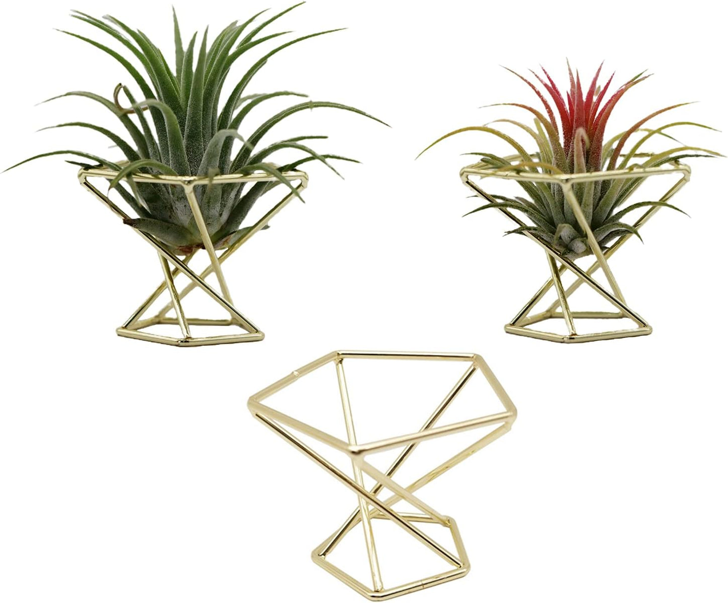 Soporte geométrico para plantas de aire 3uds dorado