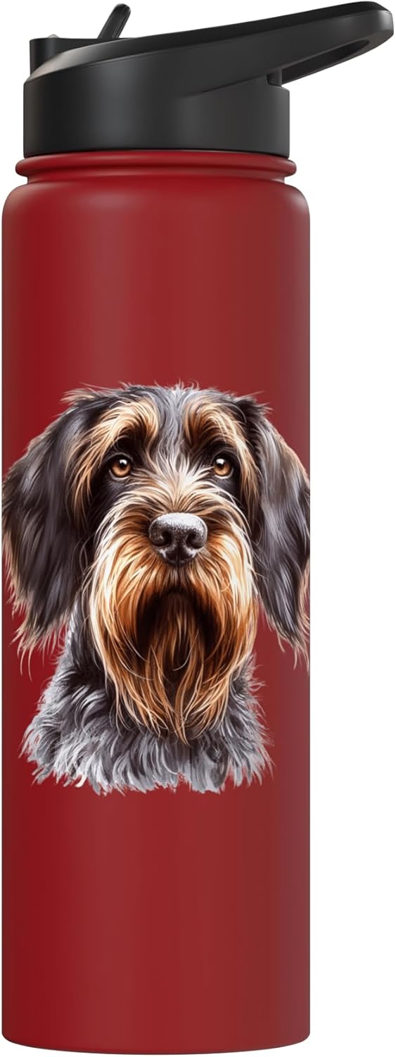 Botella de agua acero inoxidable para perro Wirehaired Pointed Griffon