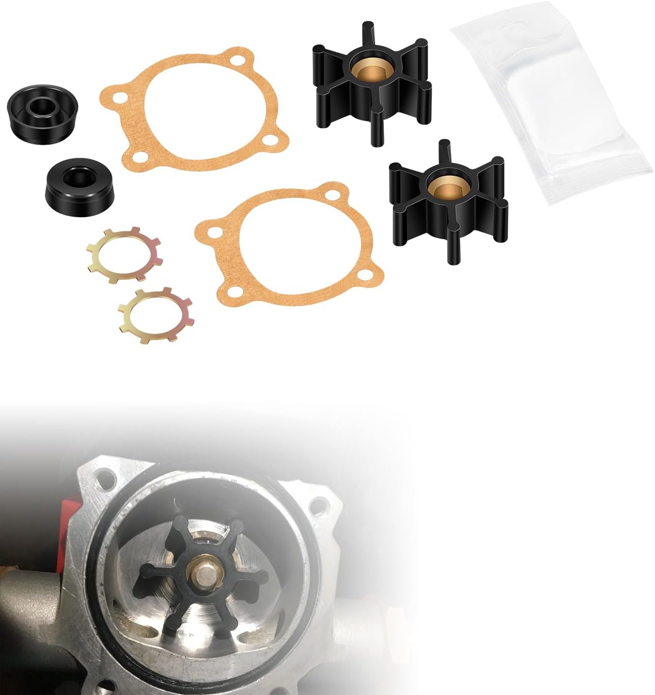 Kit reparación bomba utilitaria Trupow PAS-30 PDS-30