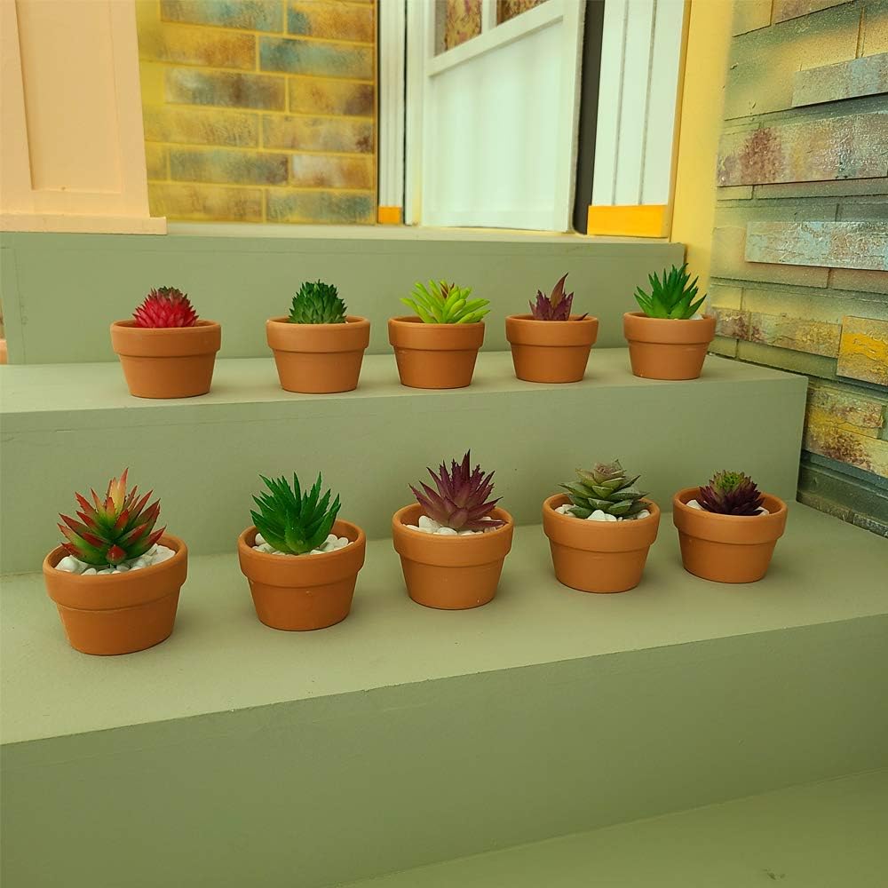 Macetas terracota poco profundas 2.7pulg juego 30 para cactus