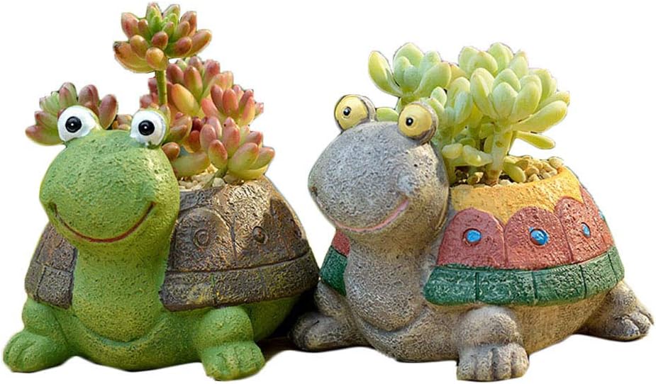Maceta suculenta tortuga verde decoración hogar oficina