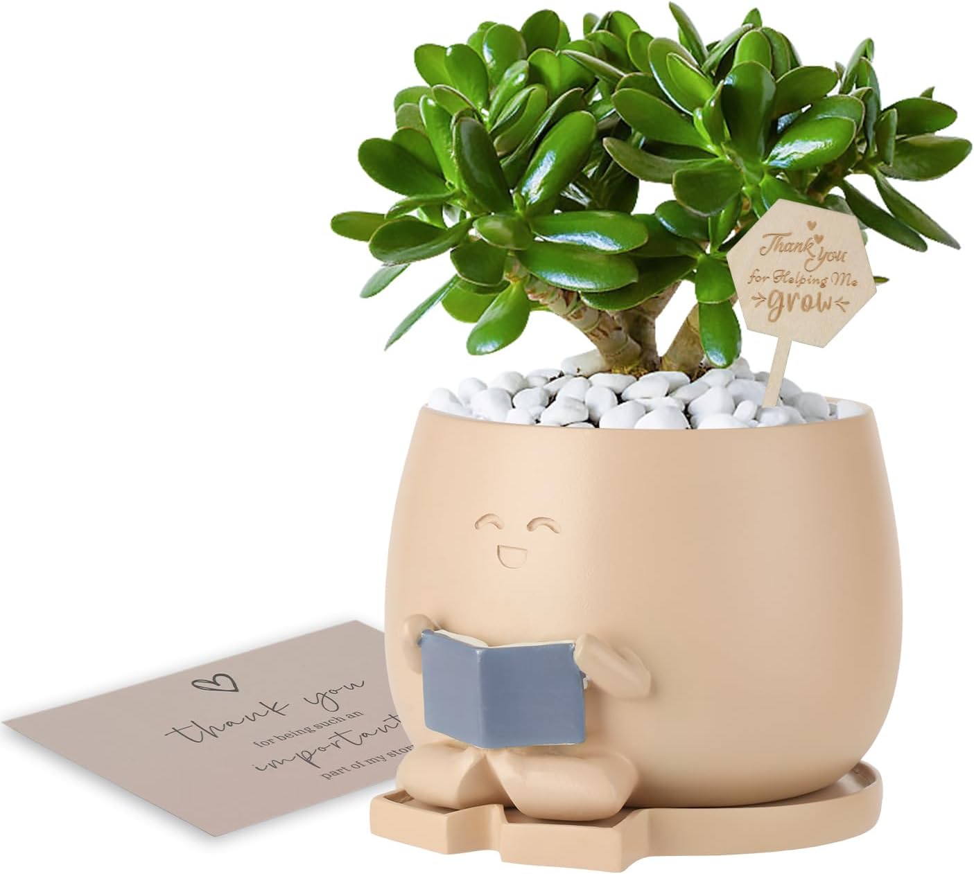 Maceta de Libro con Drenaje para Suculentas y Plantas