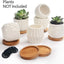 Set 6 Macetas Porcelana Blanca con Drenaje para Cactus Hogar