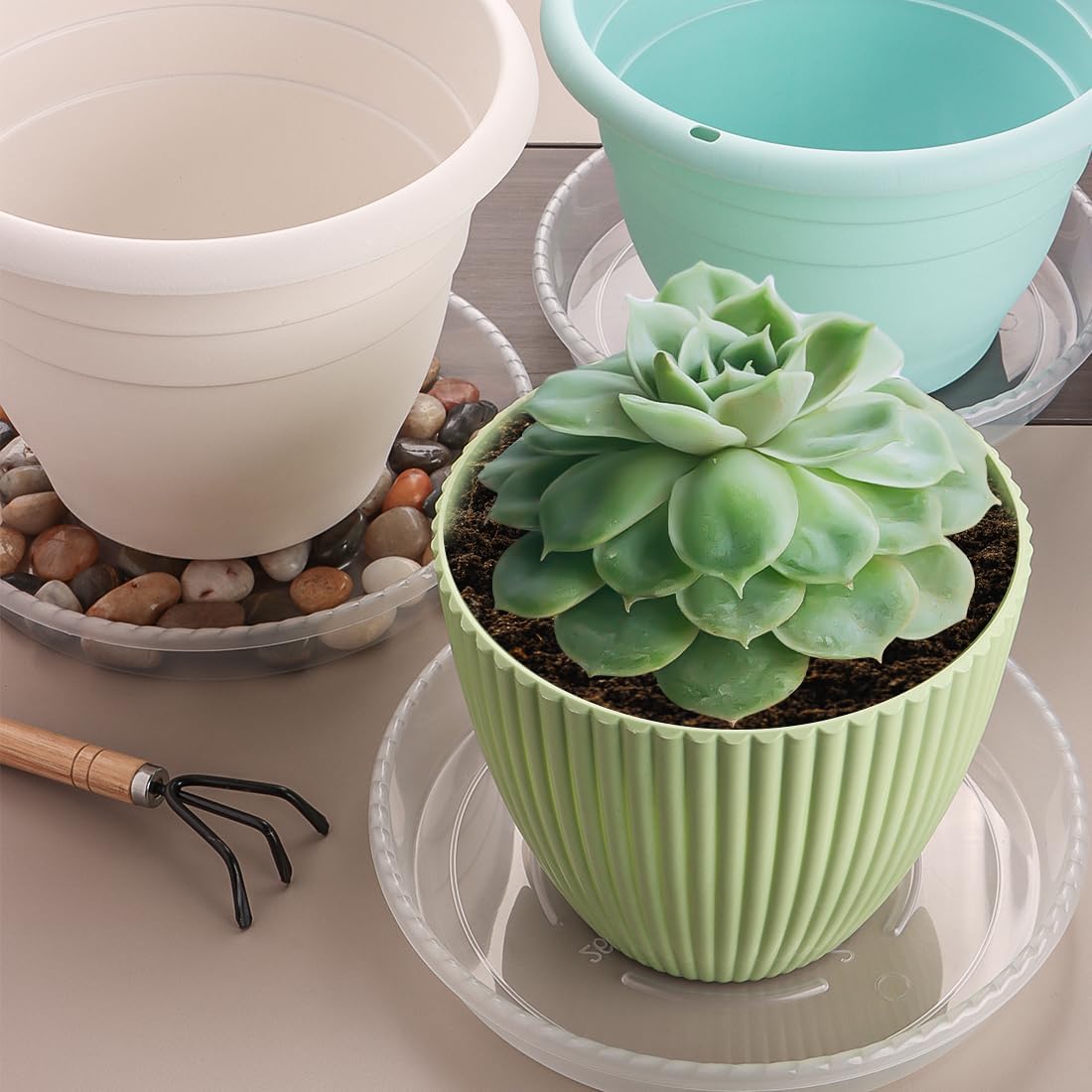 5 Platillos 12pulg Plástico Transparente para Plantas