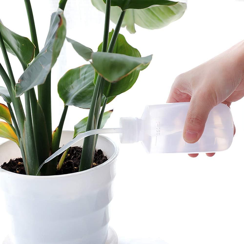 Set 15 herramientas suculentas riego jardineria mini