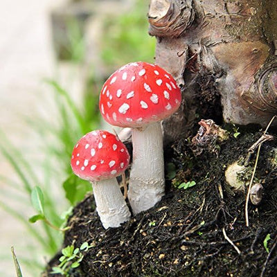 Púas hongos mini jardín hadas rojo set 2