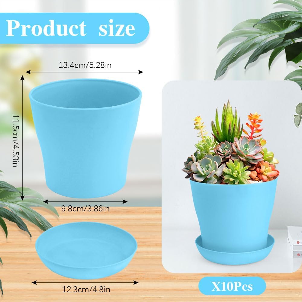 Macetas 5pulg 10pzas suculentas plantas interiores drenaje