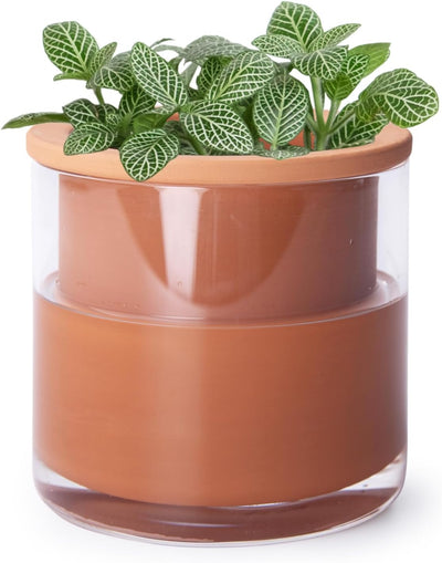 Maceta terracota autorriego cilíndrica 4pulg jarrón vidrio