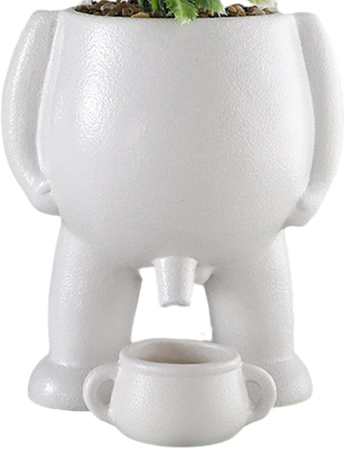 Maceta diseño novedoso para suculentas y decoración blanco