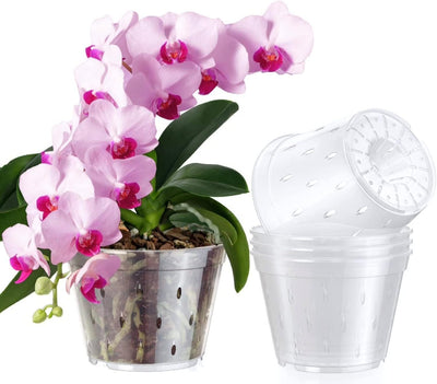 Maceta plástico transparente para orquídeas con orificios