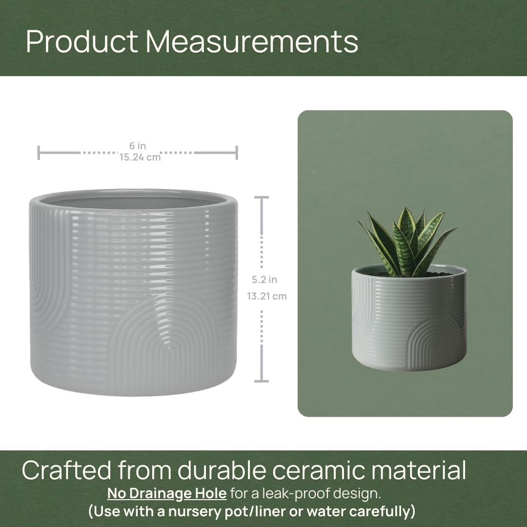 Maceta cerámica 6pulg diseño moderno para suculentas y hierbas