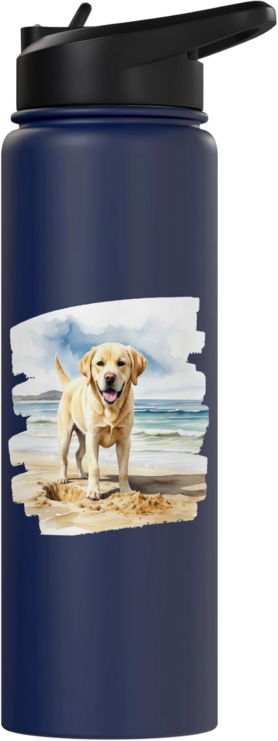 Bote de agua acero inoxidable para cachorro Labrador