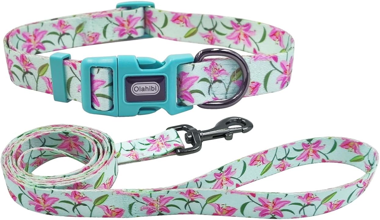 Correa collar perro patrón floral poliéster 5ft verde