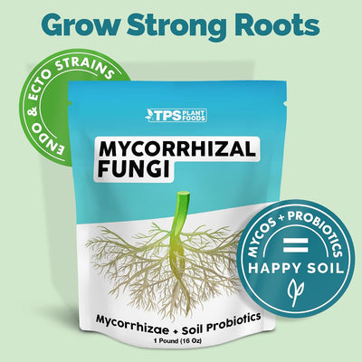 Hongos micorrícicos para plantas trasplante y establecidas 6oz