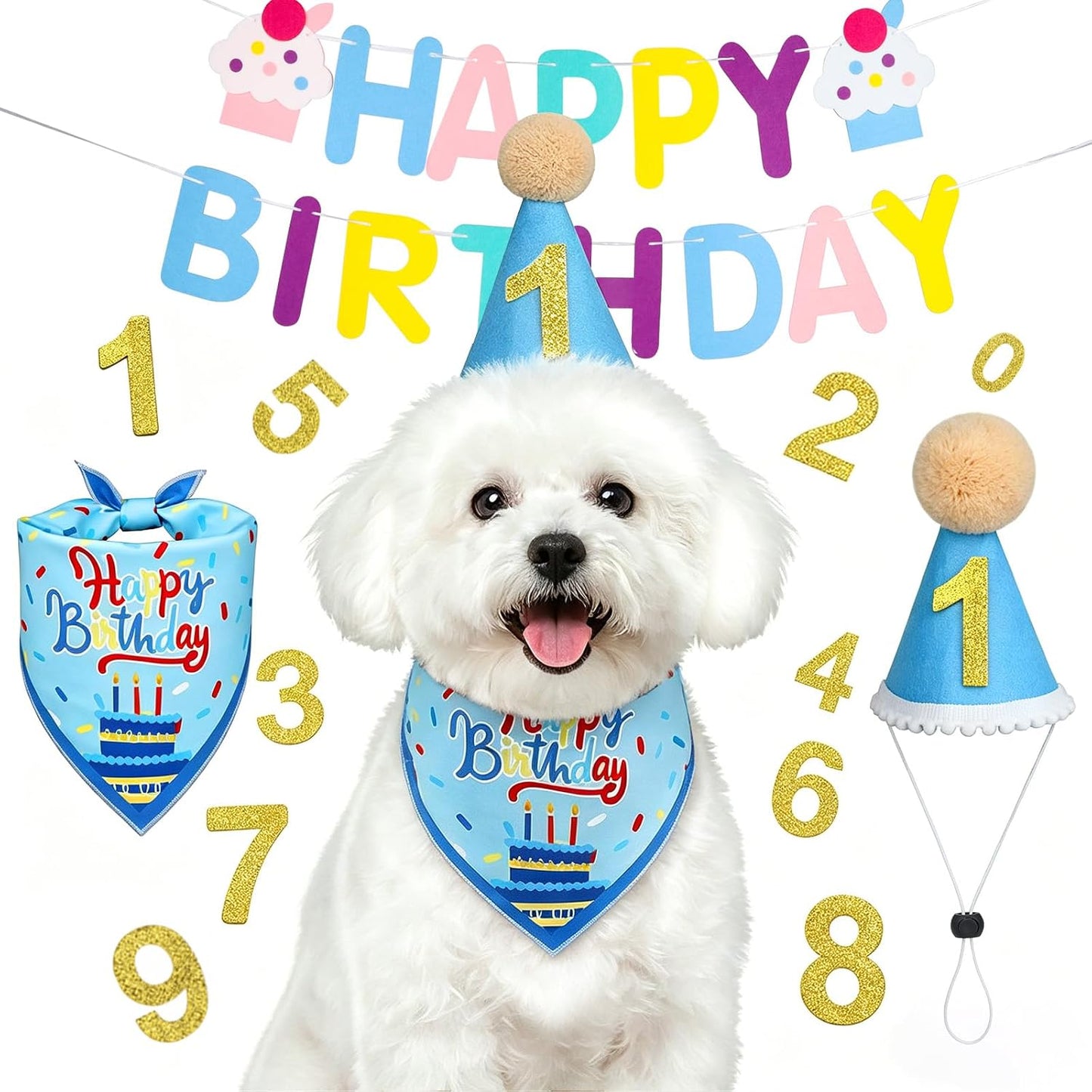 Kit cumpleaños perros con sombrero pancarta bandana