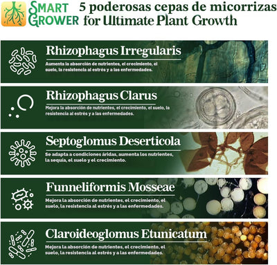 Potenciador raíces hongos micorrízicos 100 esporas gramo