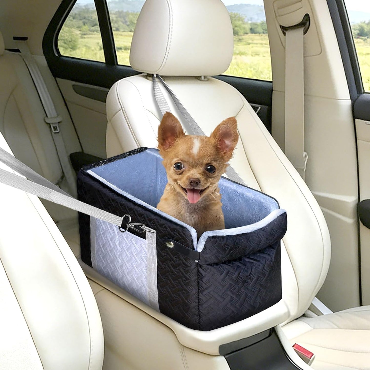 Asiento auto perros pequeños consola elevador 0-15lb con red