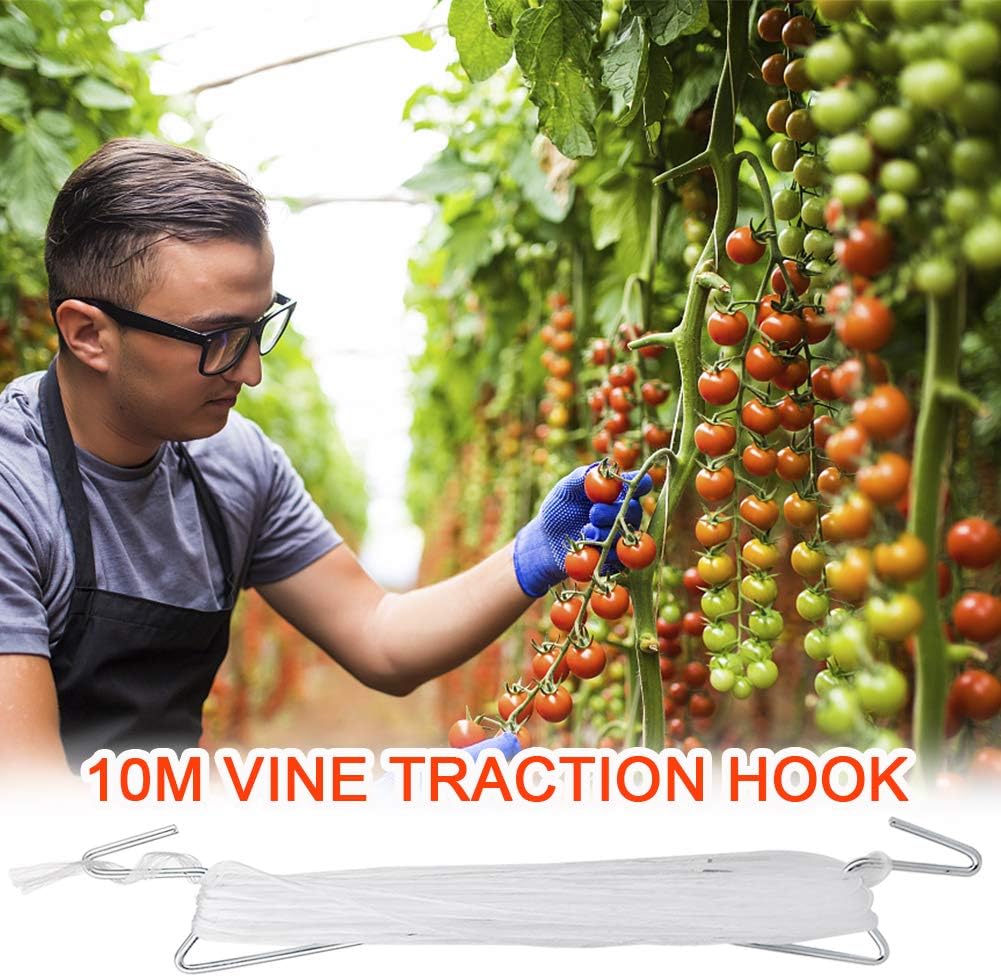 Ganchos para trepar plantas tomate 20uds