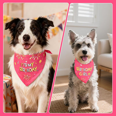 Bandana reversible para perro cumpleaños accesorio foto