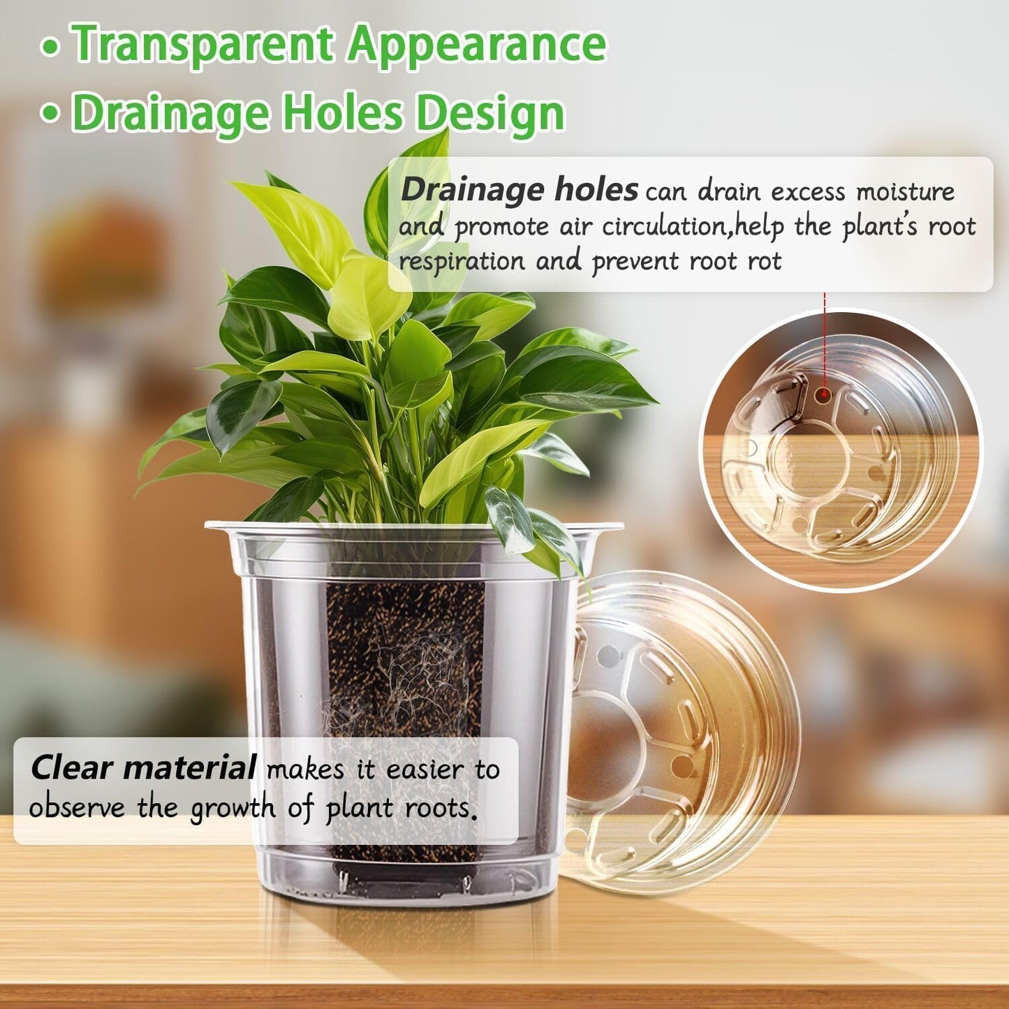 Macetas plástico transparente 13cm con drenaje para suculentas