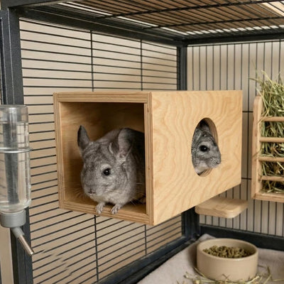 Juguetes colgantes túnel madera para chinchilla y conejillo