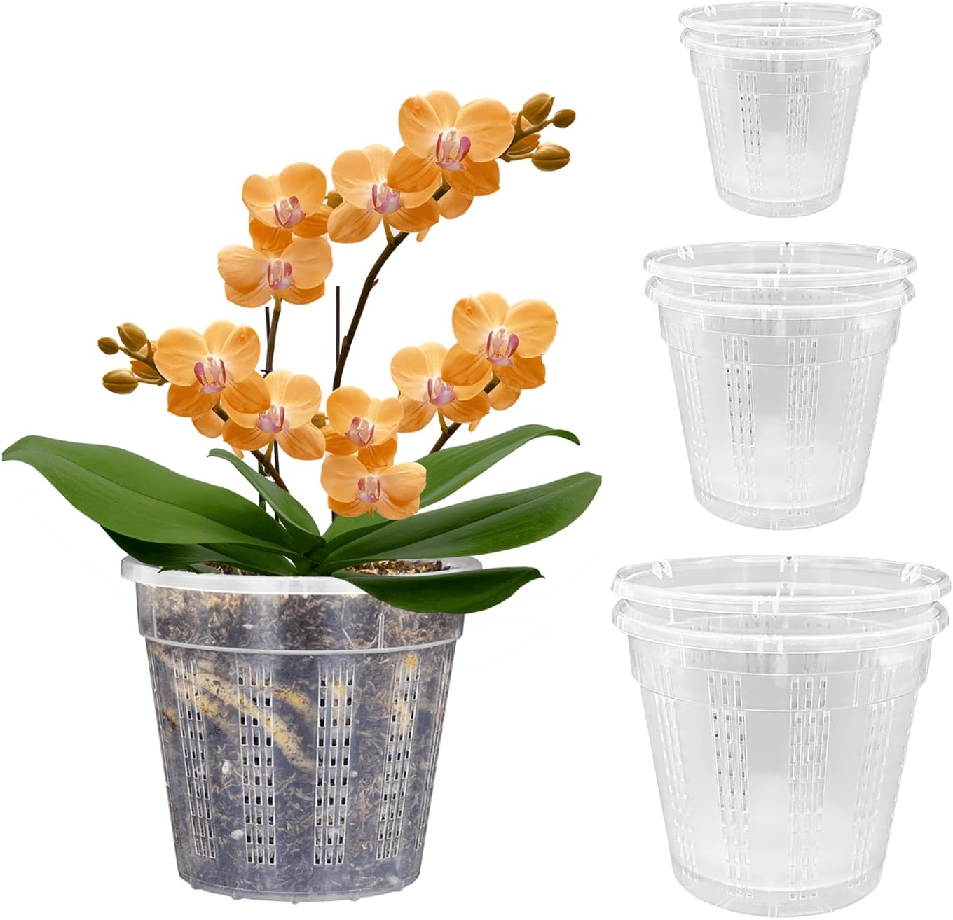 Maceta plástica orquídea 4.3-6.1pulg con agujeros