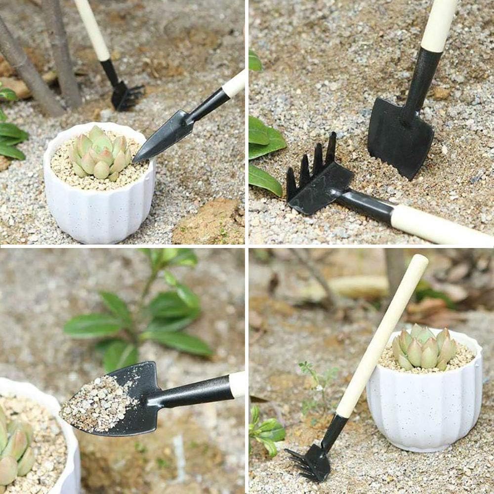 Set 15 herramientas suculentas riego jardineria mini