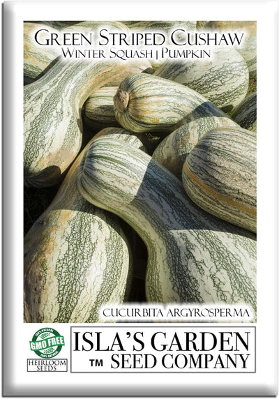 Semillas calabaza Cushaw a rayas verdes 25 unidades sin OMG