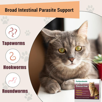 Desparasitante gatos fenbendazol 60 tabletas